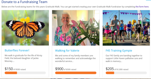 Gratitude Walk Fundraiser.