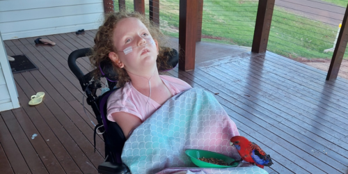 Harmonious Disability Care