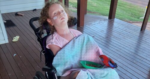 Harmonious Disability Care