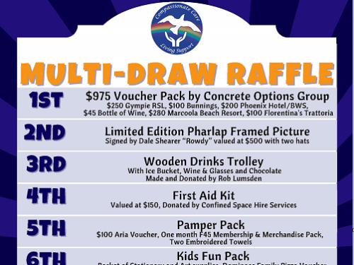 2023 - Multi-Draw Raffle