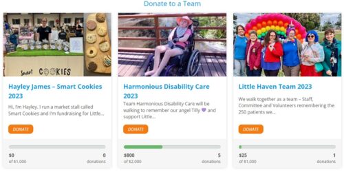 2023 Gratitude Walk Fundraising Teams