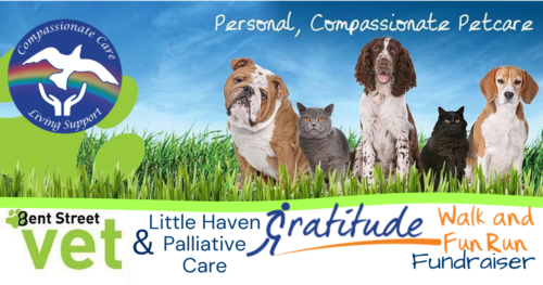 Bent Street Vet Gratitude Walk Fundraiser