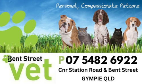 Bent Street Vet Little Haven Gratitude Walk Fundraiser