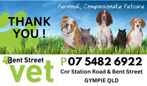 Bent Street Vet - Thank you message
