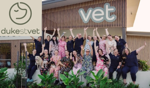 Duke Street Vet Gratitude Walk Fundraiser